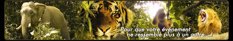 prestations animaux crealys